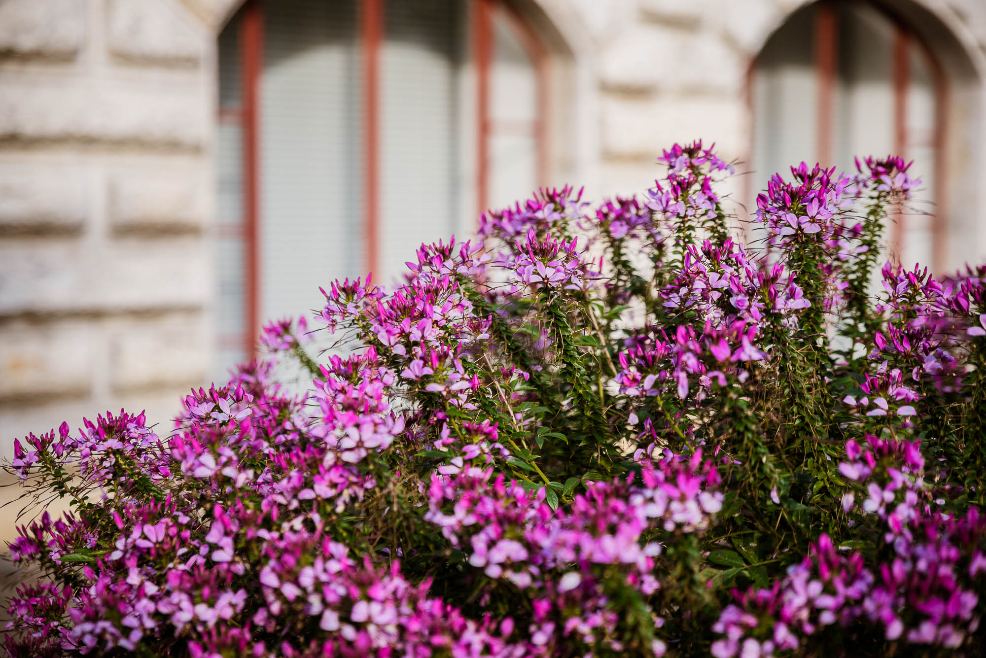 Export x3 NI2 7331 Hochzeit 2020 Theresa & Sascha